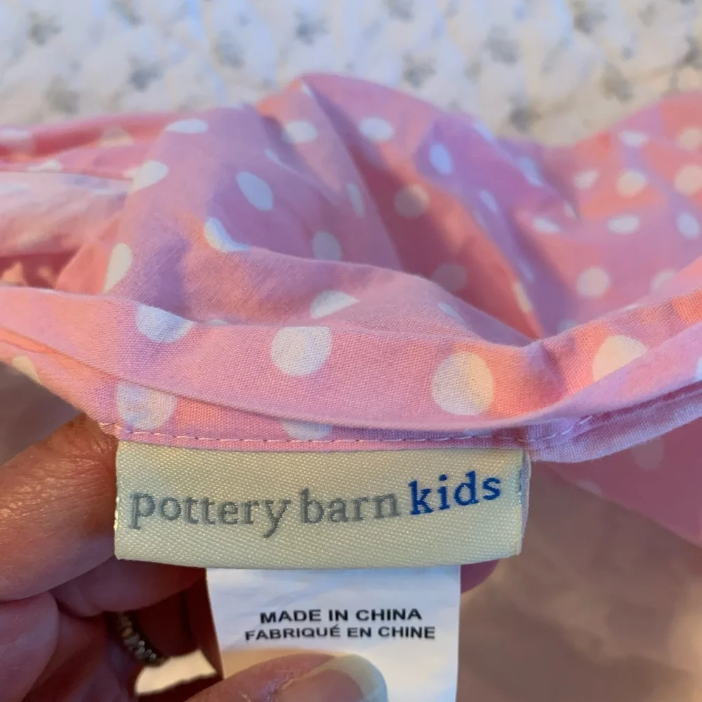 Pottery Barn Pink Euro Sham